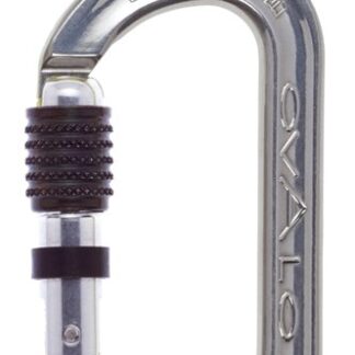 AustriAlpin ovAlo - Symmetric screw-lock carabiner | polished