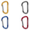 Singing Rock Mini D Karabiner (Zubehör Karabiner)
