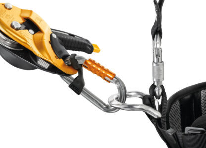 PETZL AM'D SCREW LOCK CARABINER