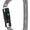 Petzl AM'D BALL LOCK