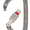 PETZL AM'D SCREW LOCK CARABINER