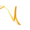 Static rope Fixe CANYON 10.0 mm, orange