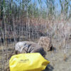 Dry bag