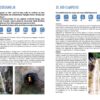 Canyoning in Dolomiti e Dintorni - mit englischem Text – Bild 5