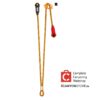 Petzl DUAL CANYON GUIDE