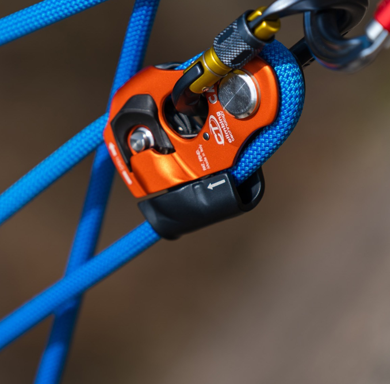 Climbing Technology Cric Ascender escapeauthority